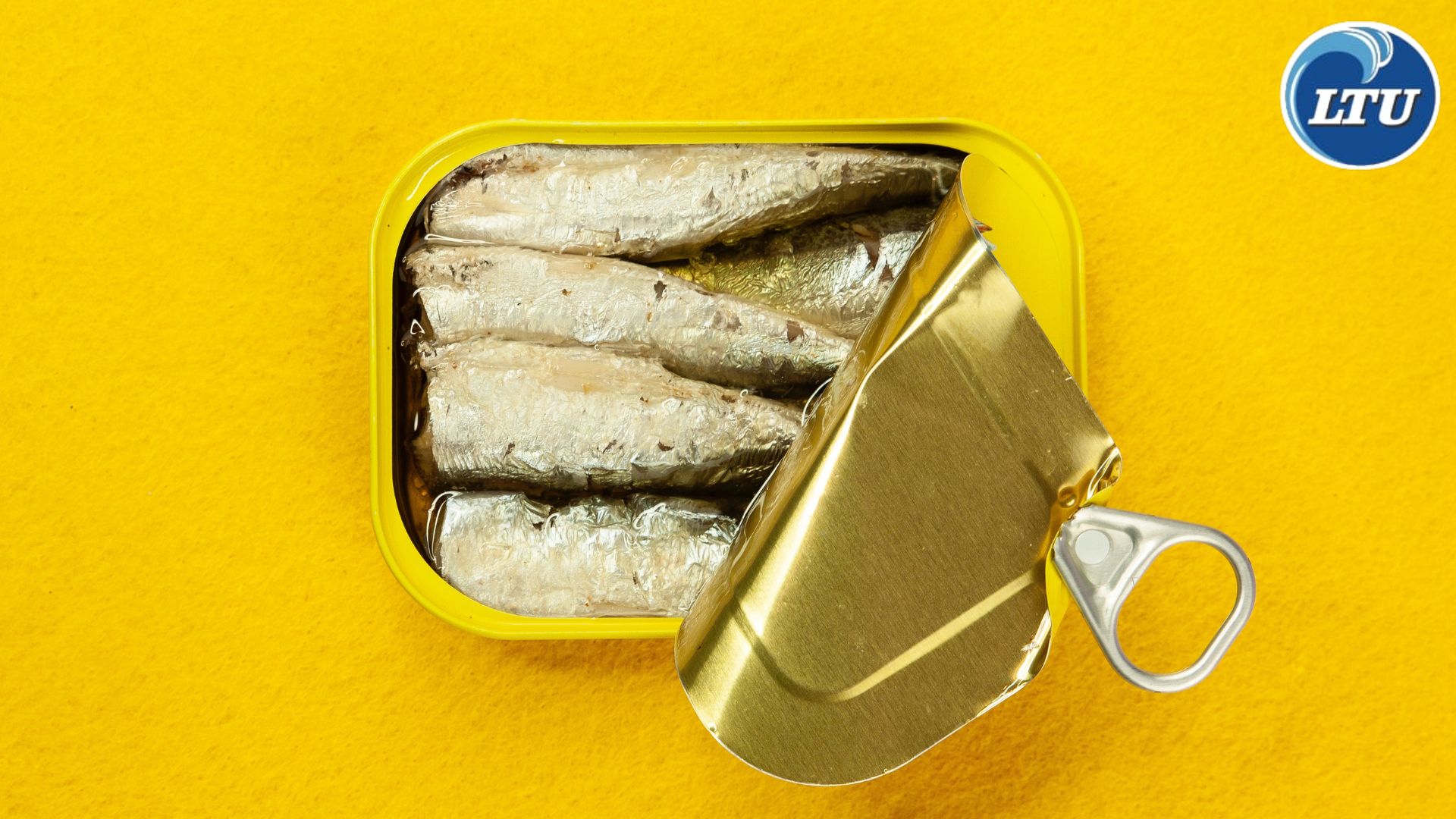 Sardines Nutrition Content